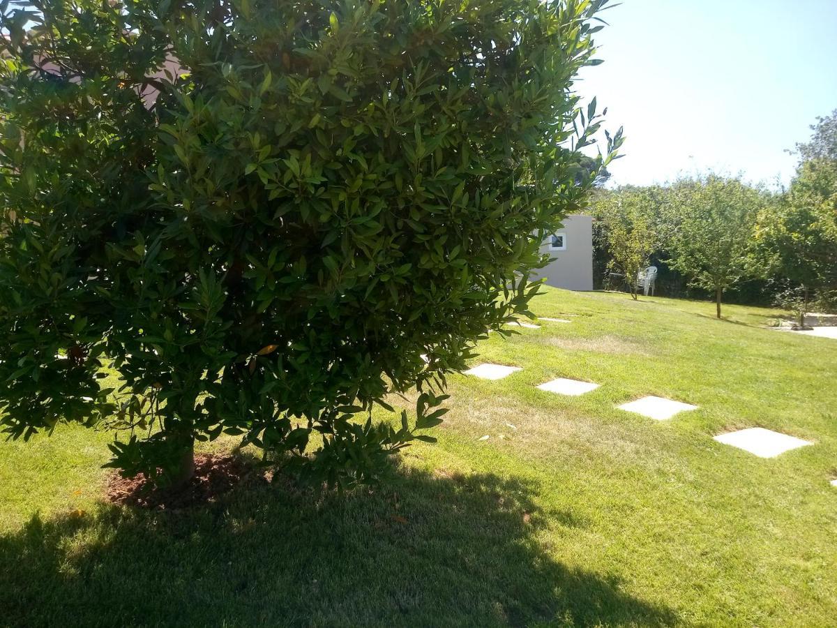 Casal Do Pinheiro Villa Óbidos Eksteriør billede
